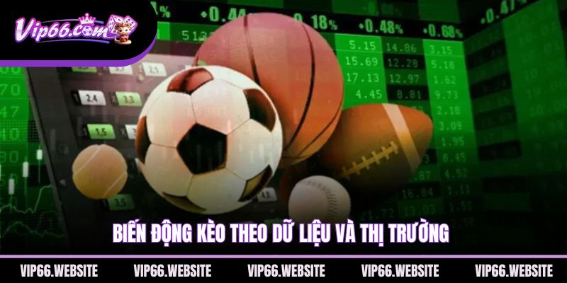 bien-dong-keo-theo-du-lieu-va-thi-truong