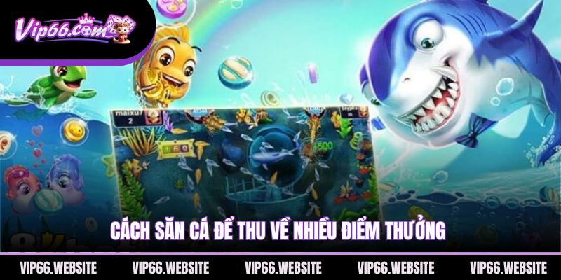 cach-san-ca-de-thu-ve-nhieu-diem-thuong