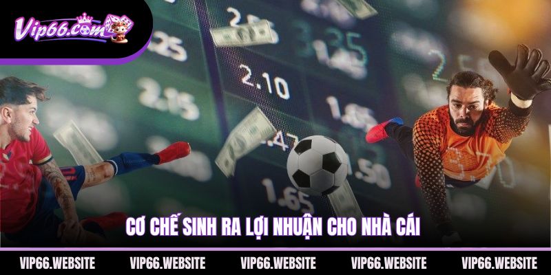 co-che-sinh-ra-loi-nhuan-cho-nha-cai