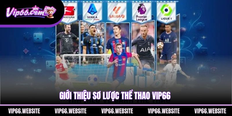 gioi-thieu-so-luoc-the-thao-vip66