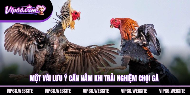 mot-vai-luu-y-can-nam-khi-trai-nghiem-choi-ga