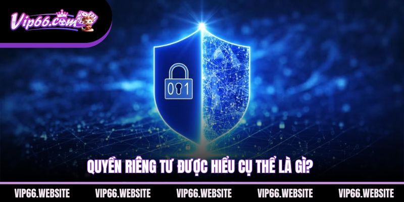 quyen-rieng-tu-duoc-hieu-cu-the-la-gi