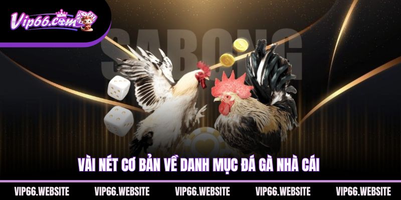 vai-net-co-ban-ve-danh-muc-da-ga-nha-cai